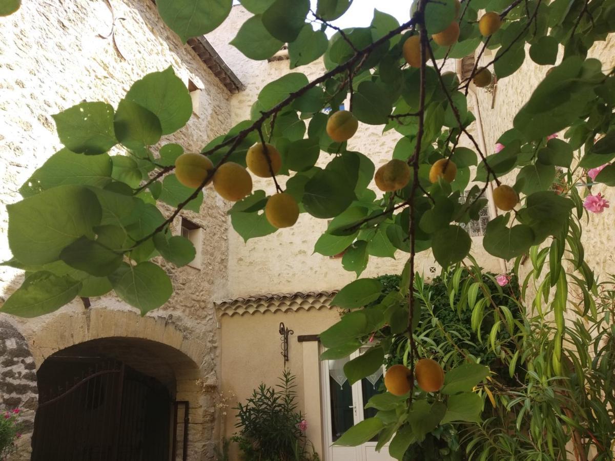 Le Terebinthe Bed & Breakfast *